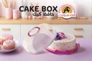 Andalus cake storage box